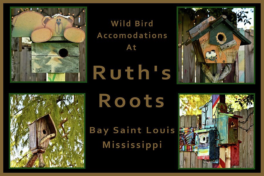 Ruths Roots Birdhouse Collage Photograph by Kathy K McClellan