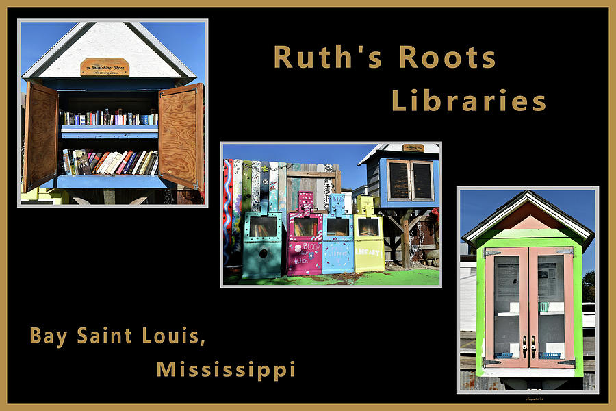 Ruths Roots Libraries Collage Photograph by Kathy K McClellan