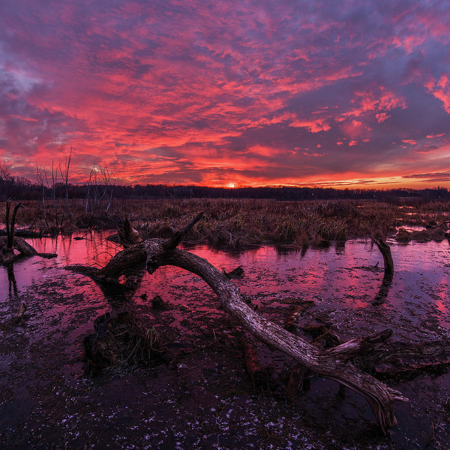 Rutland Dunn-set -  spectacular sunset above wetlands and pond with arched deadwood log in Wisconsin Photograph by Peter Herman