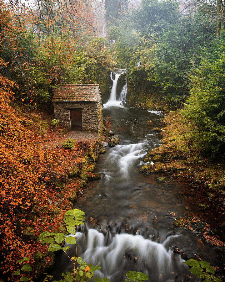 Rydal Grotto Photograph By James Green - Fine Art America