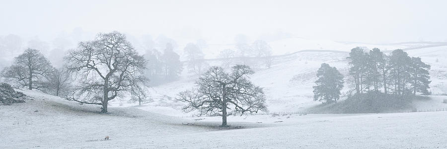 Rydal in winter lake district Photograph by Sonny Ryse