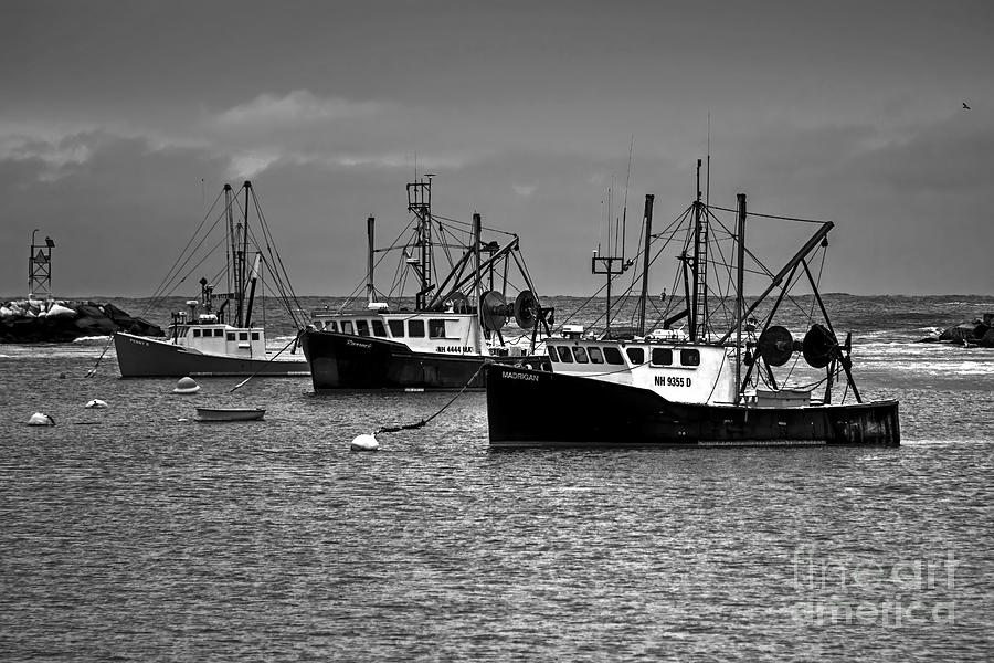 Rye Harbor in Black and White Photograph by Steve Brown