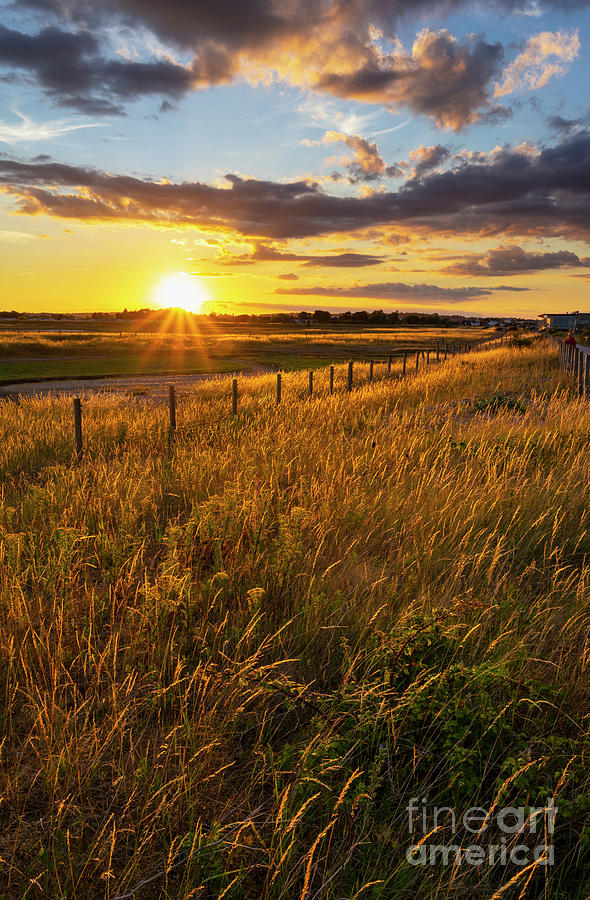 Rye Harbour Nature Reserve at Sunset, East Sussex, UK Photograph by Neale And Judith Clark