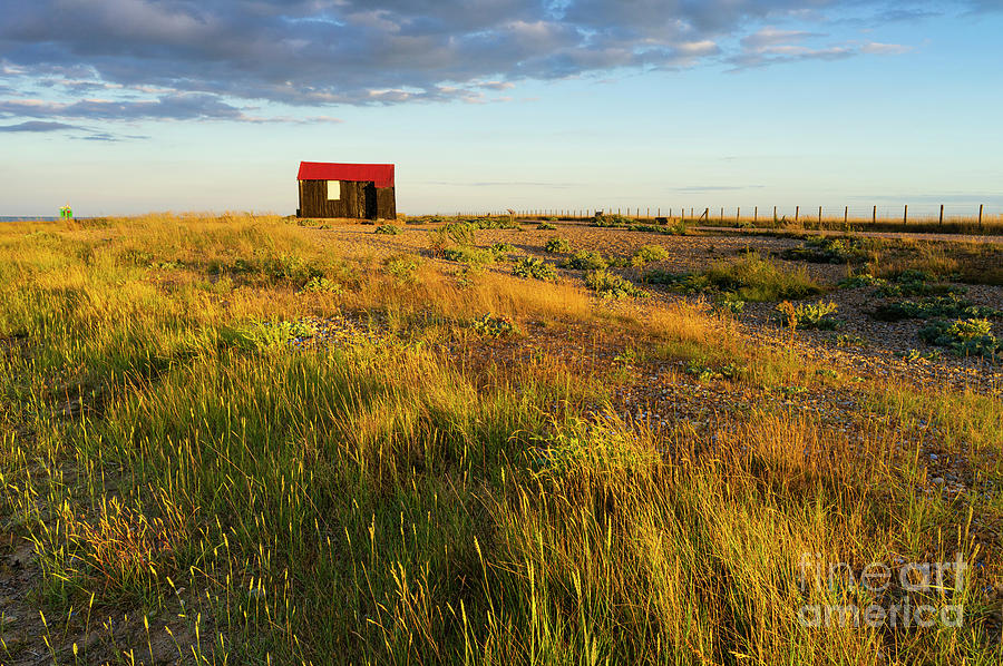 Red Roofed Hut - Rye Harbour Nature Reserve, East Sussex, UK Photograph by Neale And Judith Clark