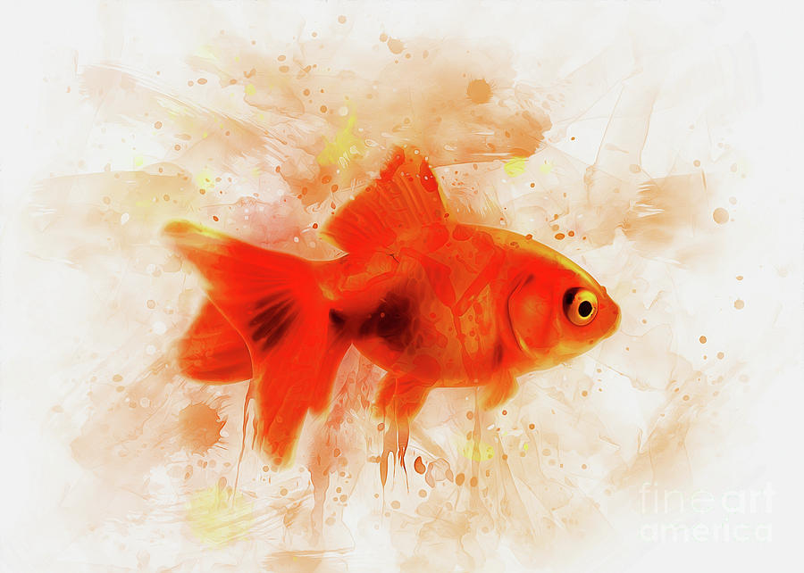 Ryukin Goldfish Digital Art