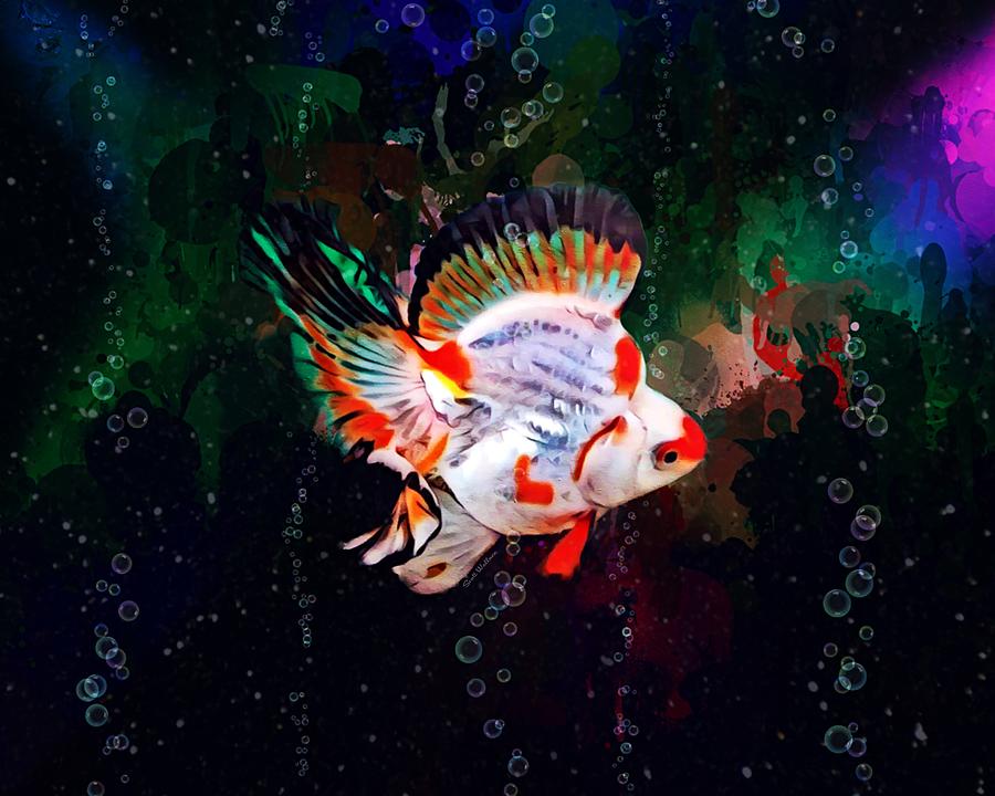 Ryukin Goldfish With Butterfly Tail  Digital Art by Scott Wallace Digital Designs
