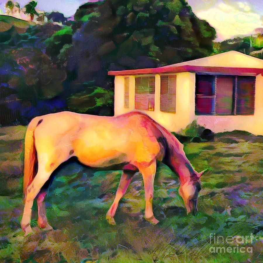 S - Golden Afternoon Light on White Horse Grazing in Tide Village - Square Painting by Lyn Voytershark