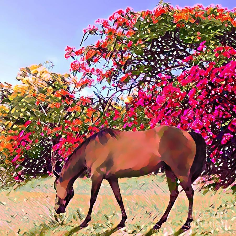 S - Grazing Horse with Colorful Blooming Flamboyant and Bougainvillea - Square Painting by Lyn Voytershark