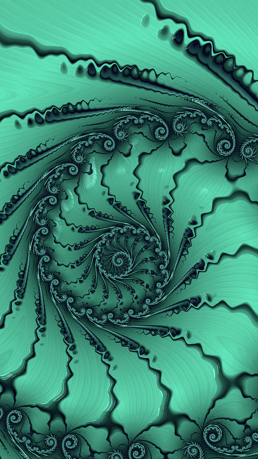 S is for Spiral Seashell  Digital Art by Shelli Fitzpatrick
