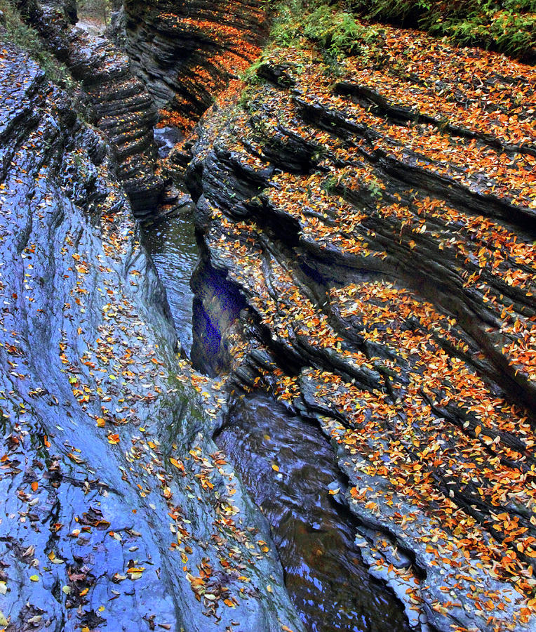 Watkins Glen Gorge Abstract Photograph by Jessica Jenney