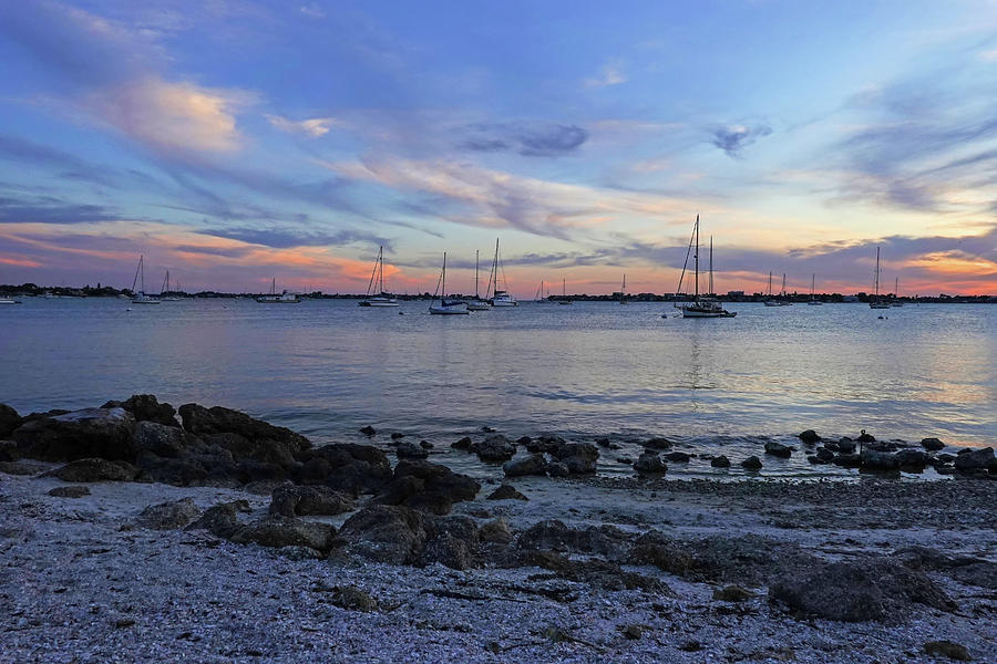 Saasota FL sunset at Bayfront Park  Photograph by Toby McGuire