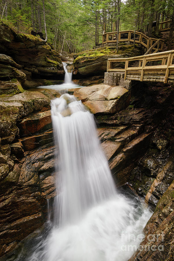 Sabbaday Descending - Waterfall in New Hampshire Photograph by JG Coleman
