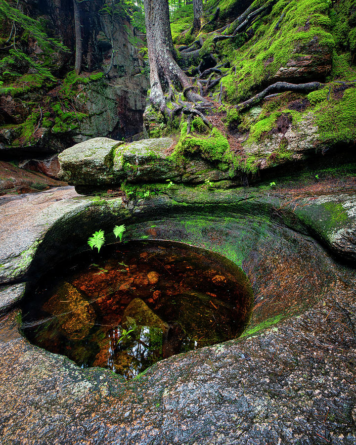 Sabbaday Falls pothole Photograph by Andy Crawford