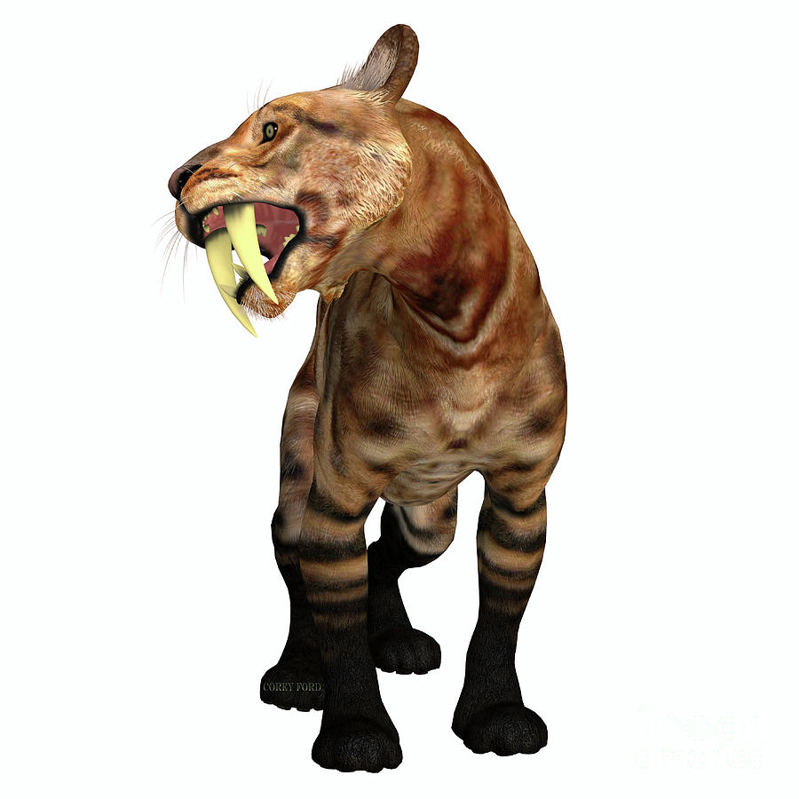 Saber-tooth Cat Fangs Digital Art by Corey Ford