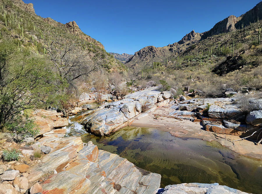 Sabino Creek Photograph by Jason Judd | Pixels