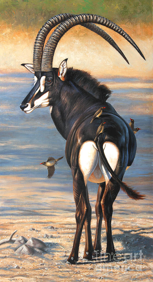 Cynthie Fisher Painting - Sable by Cynthie Fisher