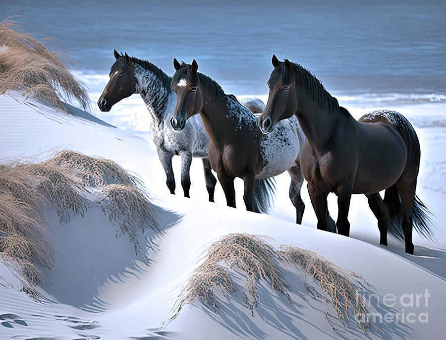 Sable Island Horses 2 Photograph by Elaine Manley