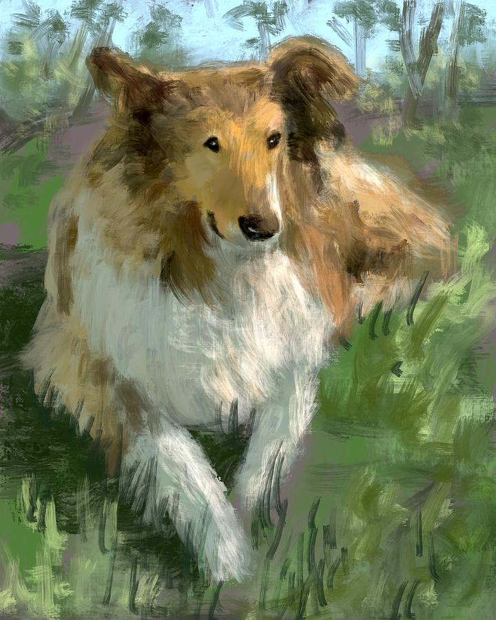 Sabra The Collie Digital Art by Larry Whitler