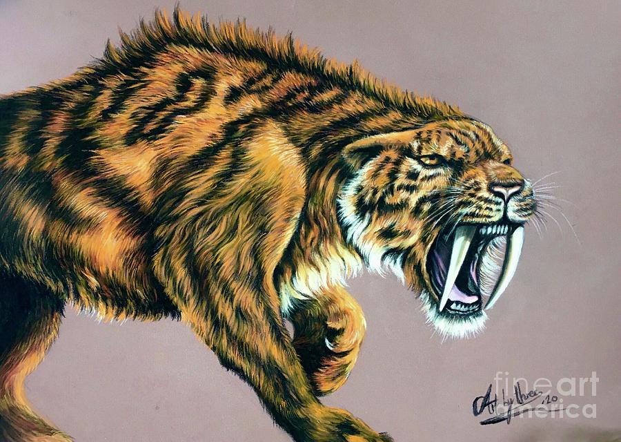 Sabre Tooth Tiger Drawing by Art By Three Sarah Rebekah Rachel White