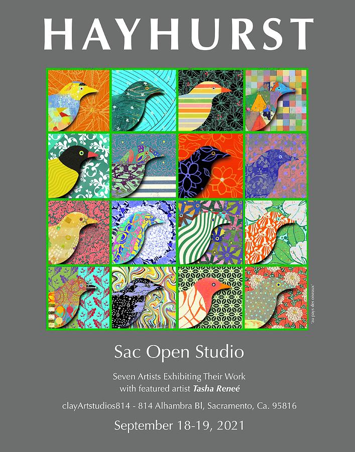 Sac Open Studio Digital Art by Steve Hayhurst