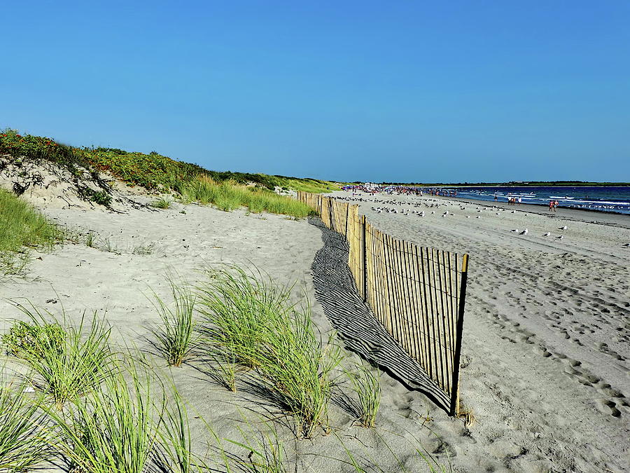 Summer Photograph - Sachuest Beach in Middletown, Rhode Island by Lyuba Filatova