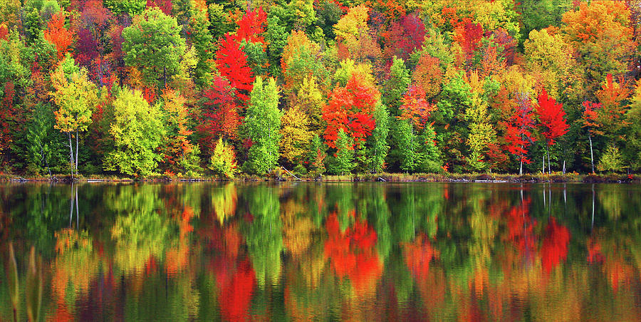 Sackett Lake Medford Wisconsin Photograph by Zia Rehman - Fine Art America