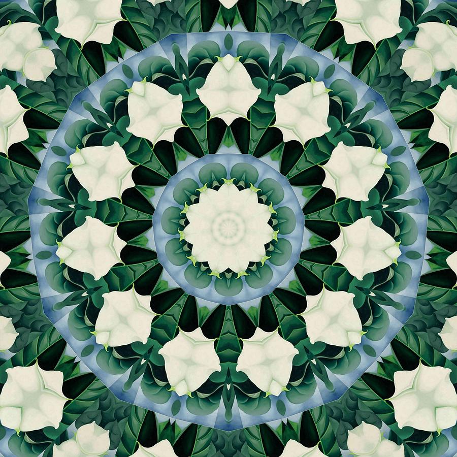 Sacramento Green and Cerulean Blue Mandala Digital Art by Taiche Acrylic Art