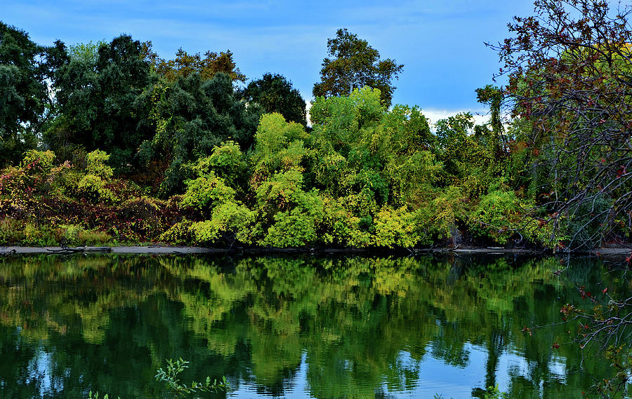 Tree Photograph - Sacramento River Fall Reflections by Marilyn MacCrakin