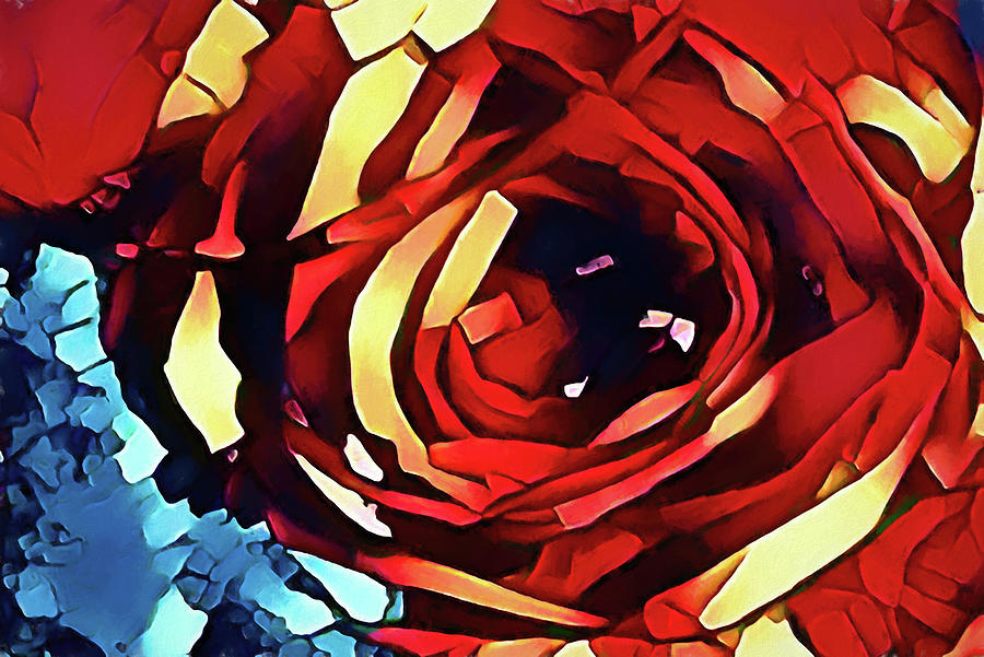 Sacred Blossom Photograph by Mike Smale Sacred Blossom Photograph by Mike Smale