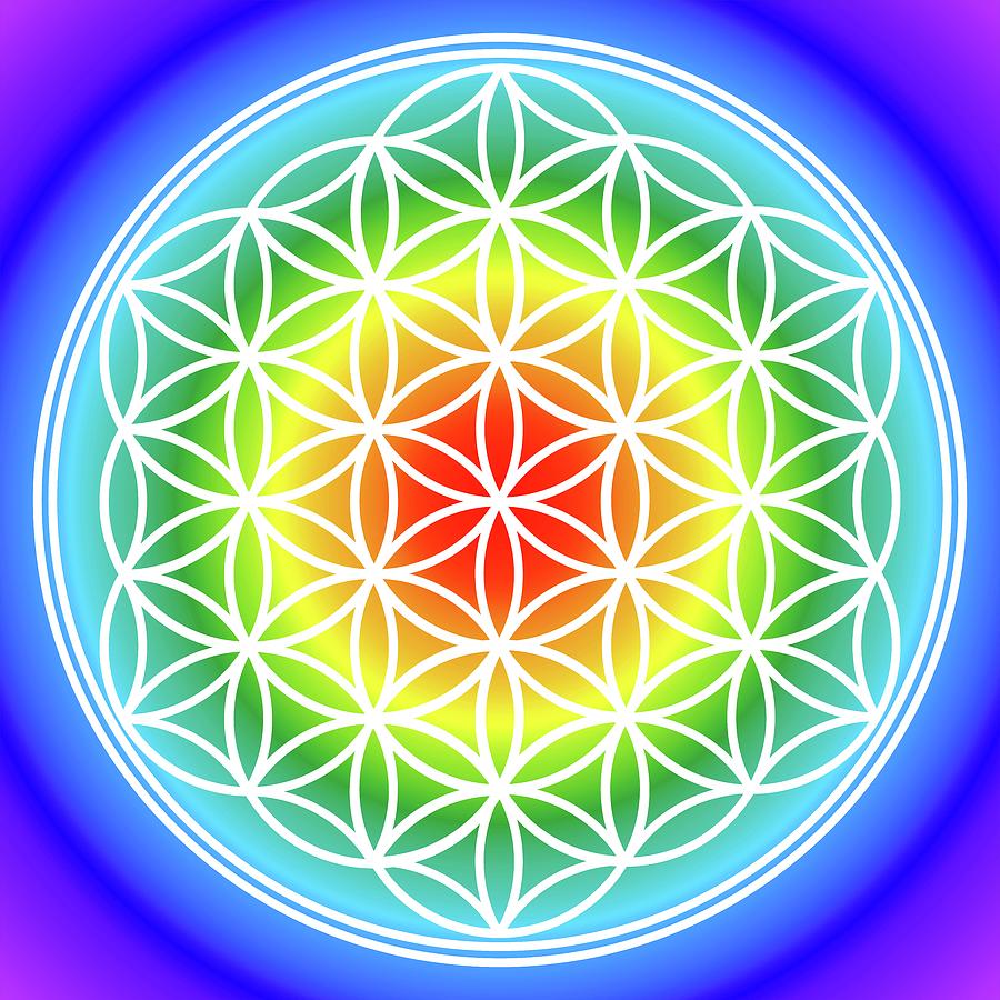 Sacred Geometry Flower Of Life Rainbow Pattern Digital Art By