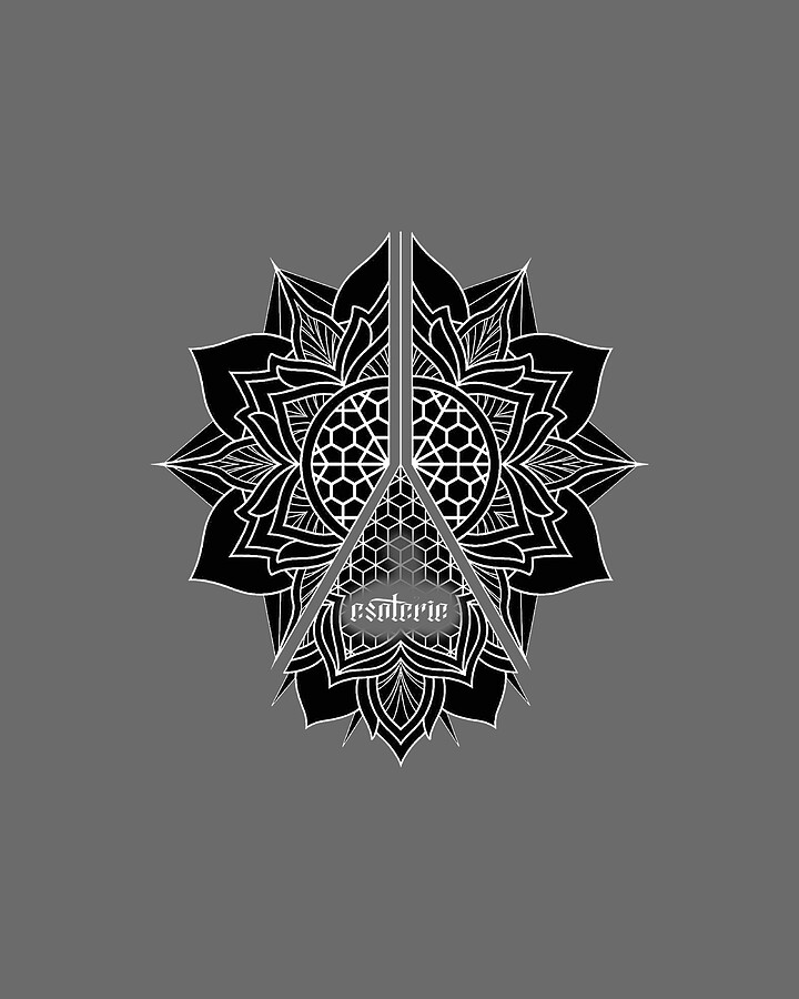 Sacred Geometry Honeycomb Lotus Mandala Geometric Digital Art by Franku