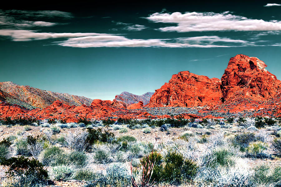 Sacred Ground at the Valley of Fire Photograph by John Rizzuto