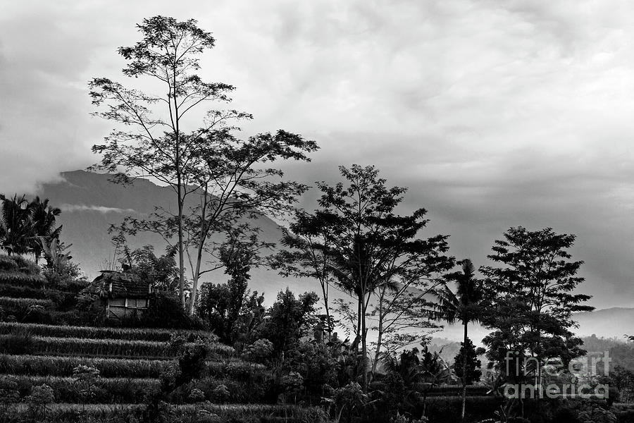 Sacred Gunung Agung Mountain Bali Photograph by Craig Lovell