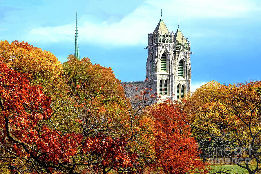 Sacred Heart Cathedral And Autumn Leaves Photograph