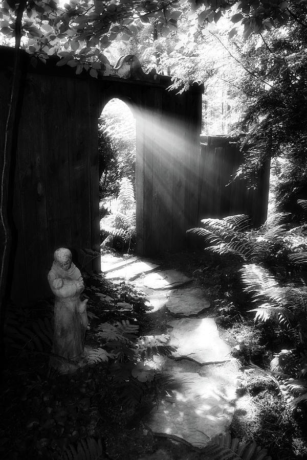 Sacred Light Photograph by Wayne King