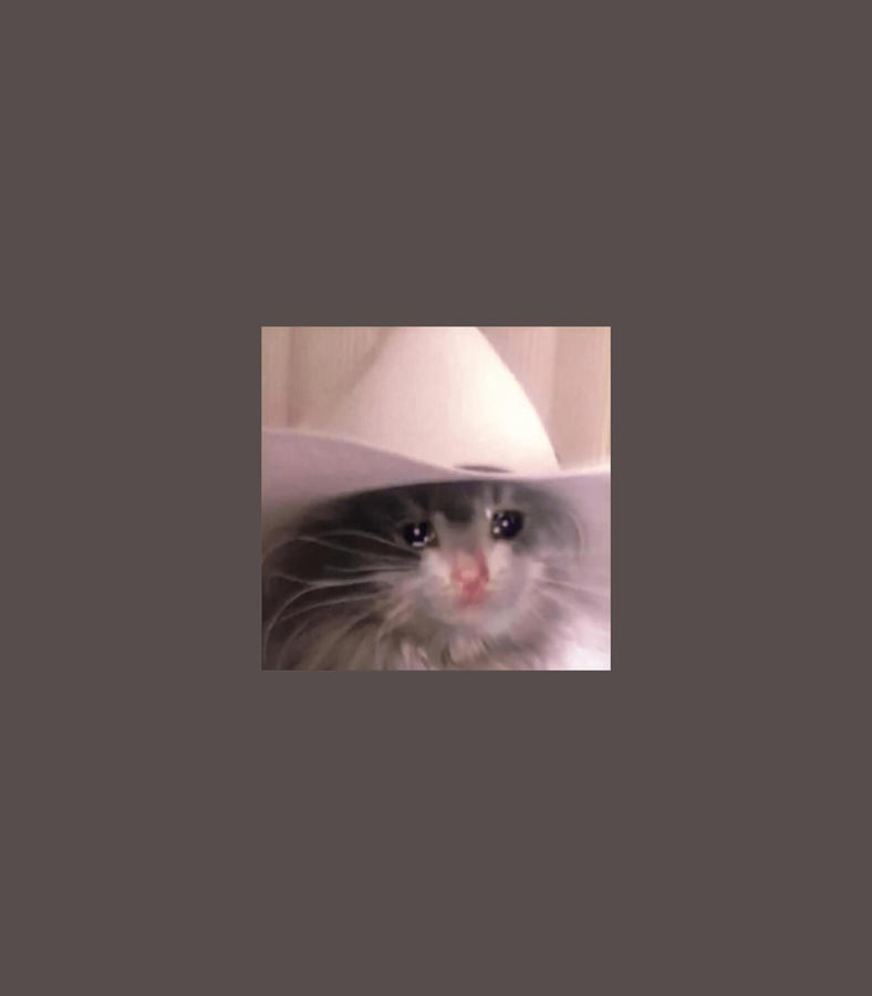 Sad Cat Cowboy Hat Digital Art by Rennn Lamar - Fine Art America