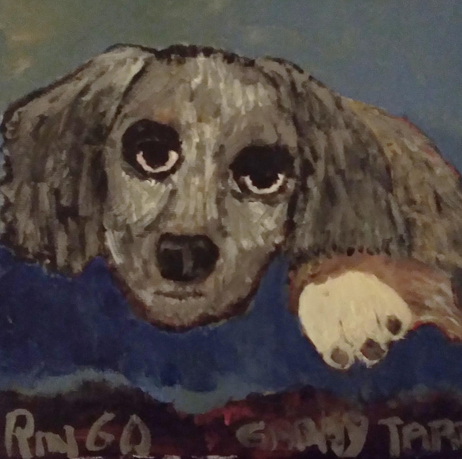 Sad Ringo Painting by Gabby Tary