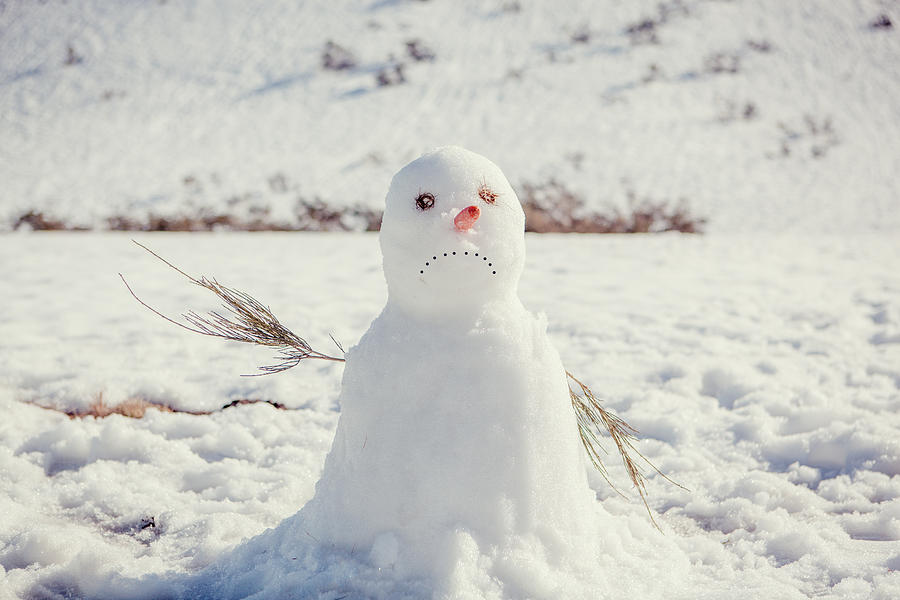 Sad Snow Man Photograph by Carol Yepes