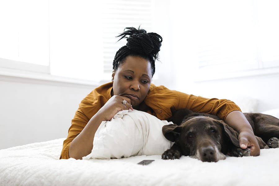 Sad woman lying on bed with dog Photograph by Jessica Peterson
