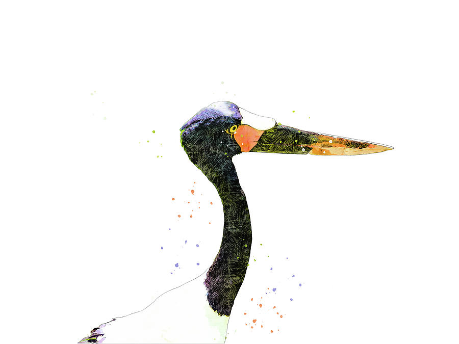 Saddle-billed Stork Mixed Media by Pamela Williams