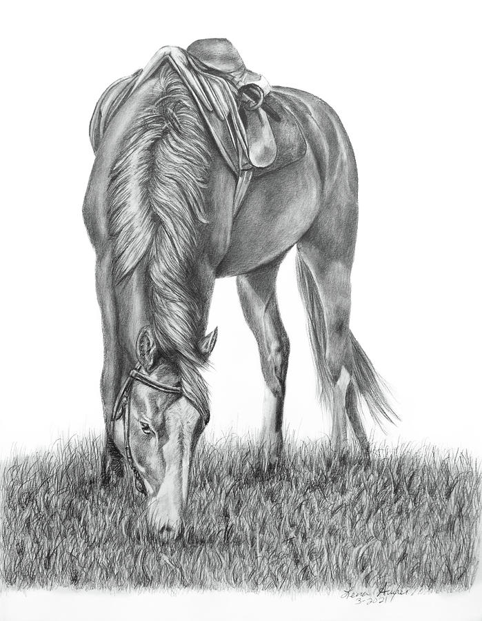 Saddle Up Drawing by Lena Auxier