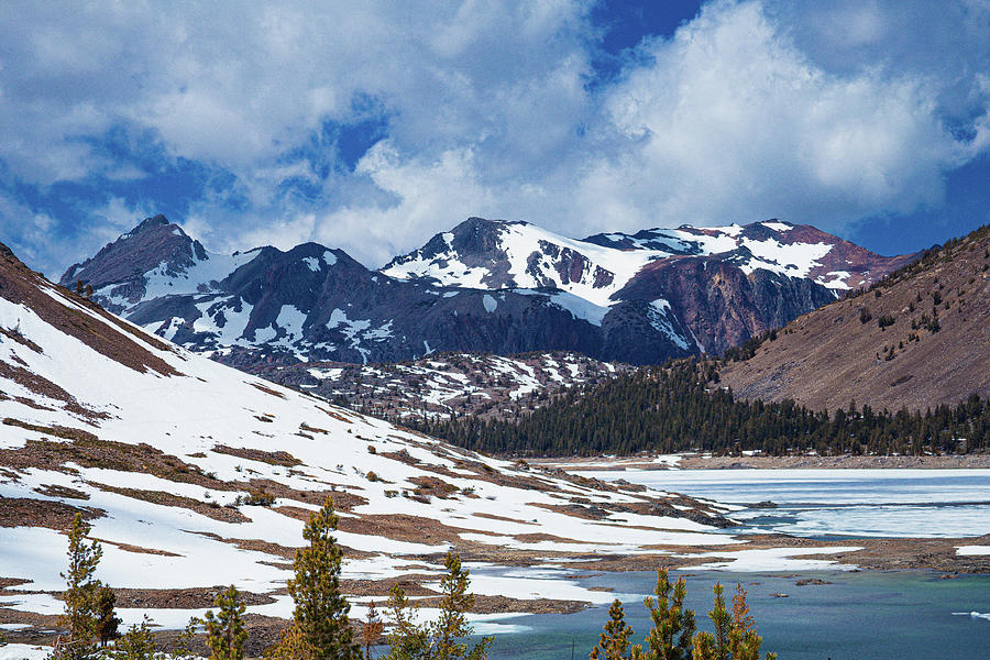 Saddlebag Lake, CA, USA Photograph by Christo Eliot - Fine Art America