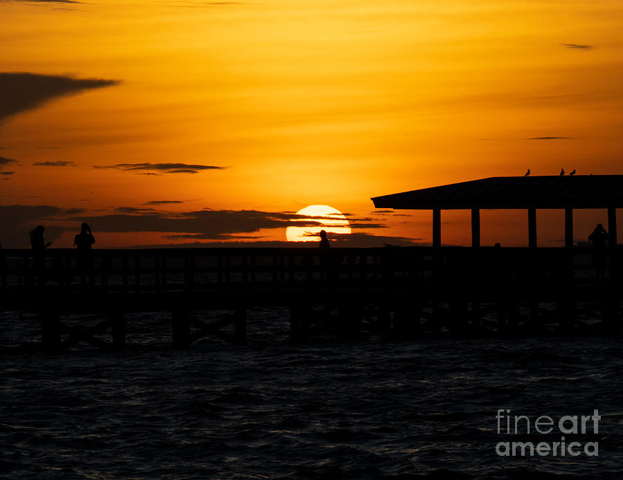 Safety Harbor Sunrise Photograph by L Bosco