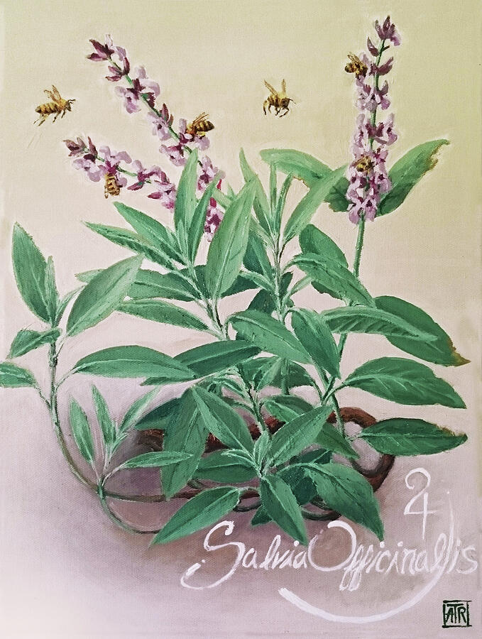 Flower Painting - Sage and Bees by Adrien Raigne