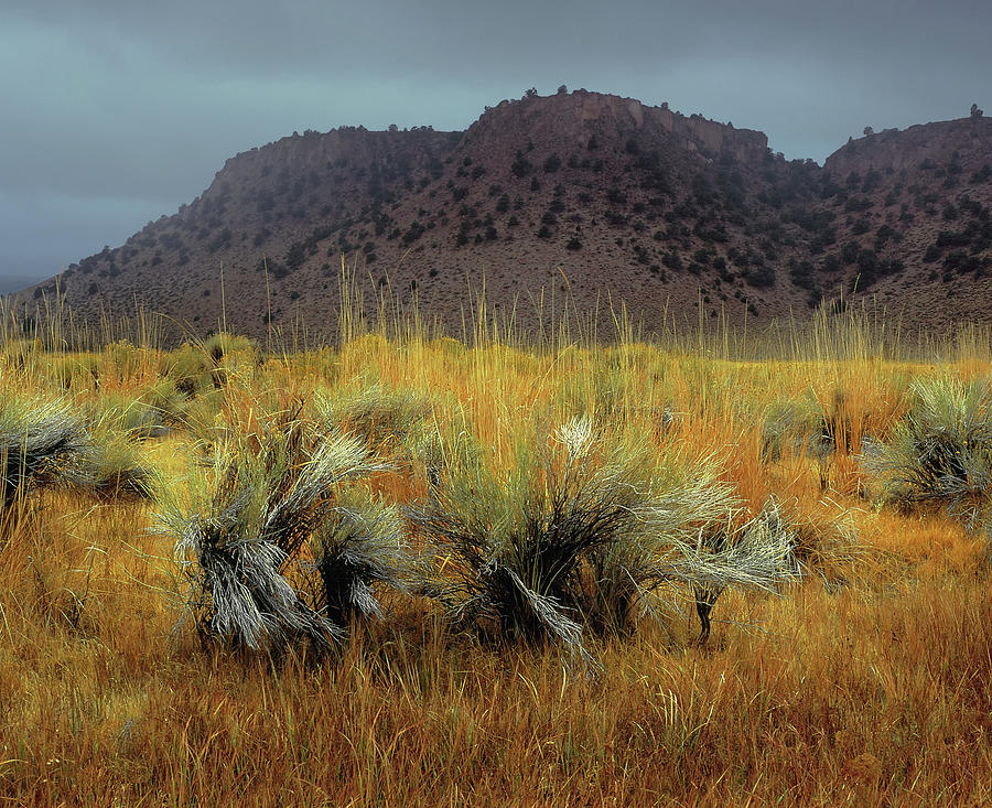 Landscape Photograph - Sage To Mesa Tops by Paul Breitkreuz