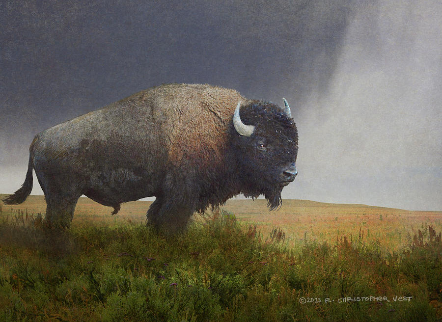 Yellowstone National Park Photograph - Sagebrush Bull by R christopher Vest