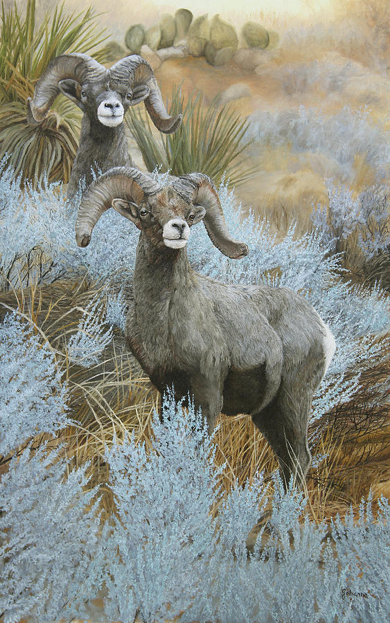 Sagebrush Sentinels - Desert Bighorn Sheep Painting by Johanna Lerwick