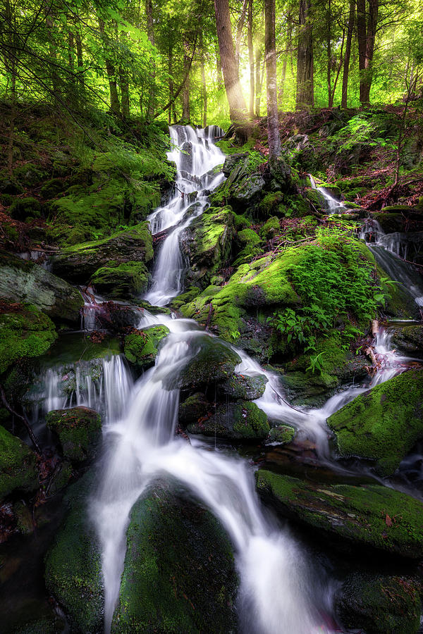 Waterfall Photograph - Sages Ravine Waterfall by Bill Wakeley