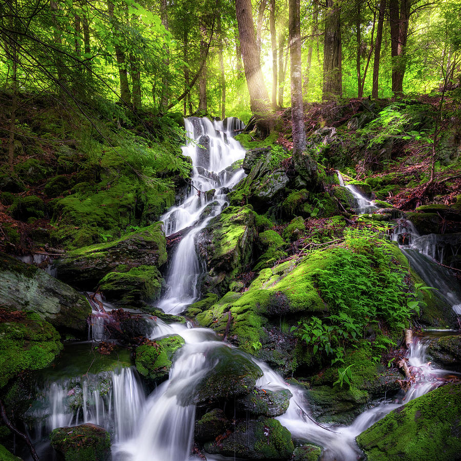 Waterfall Photograph - Sages Ravine Waterfall Square by Bill Wakeley