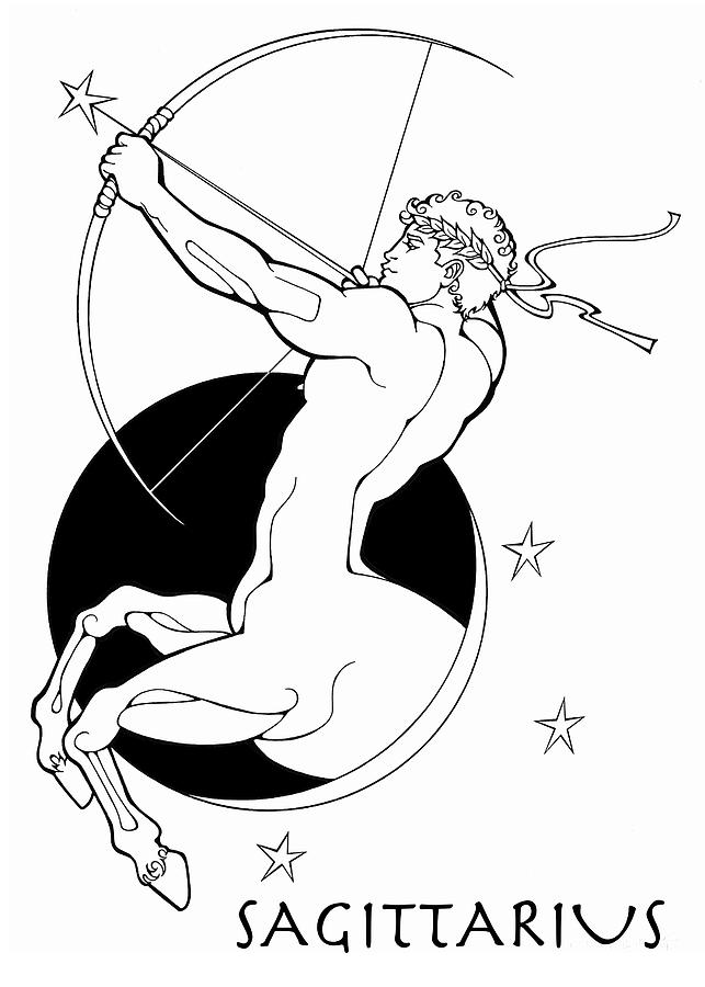Sagittarius Drawing by Steven Stines